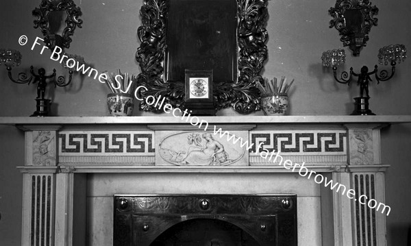 MOUNT CONGREVE  FIREPLACE IN LIBRARY